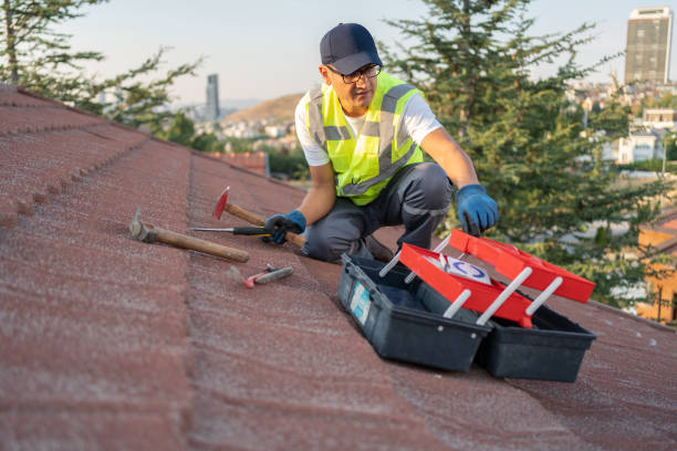 Best Vinyl Siding Installation  in El Sobrante, CA